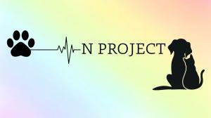 N_PROJECT